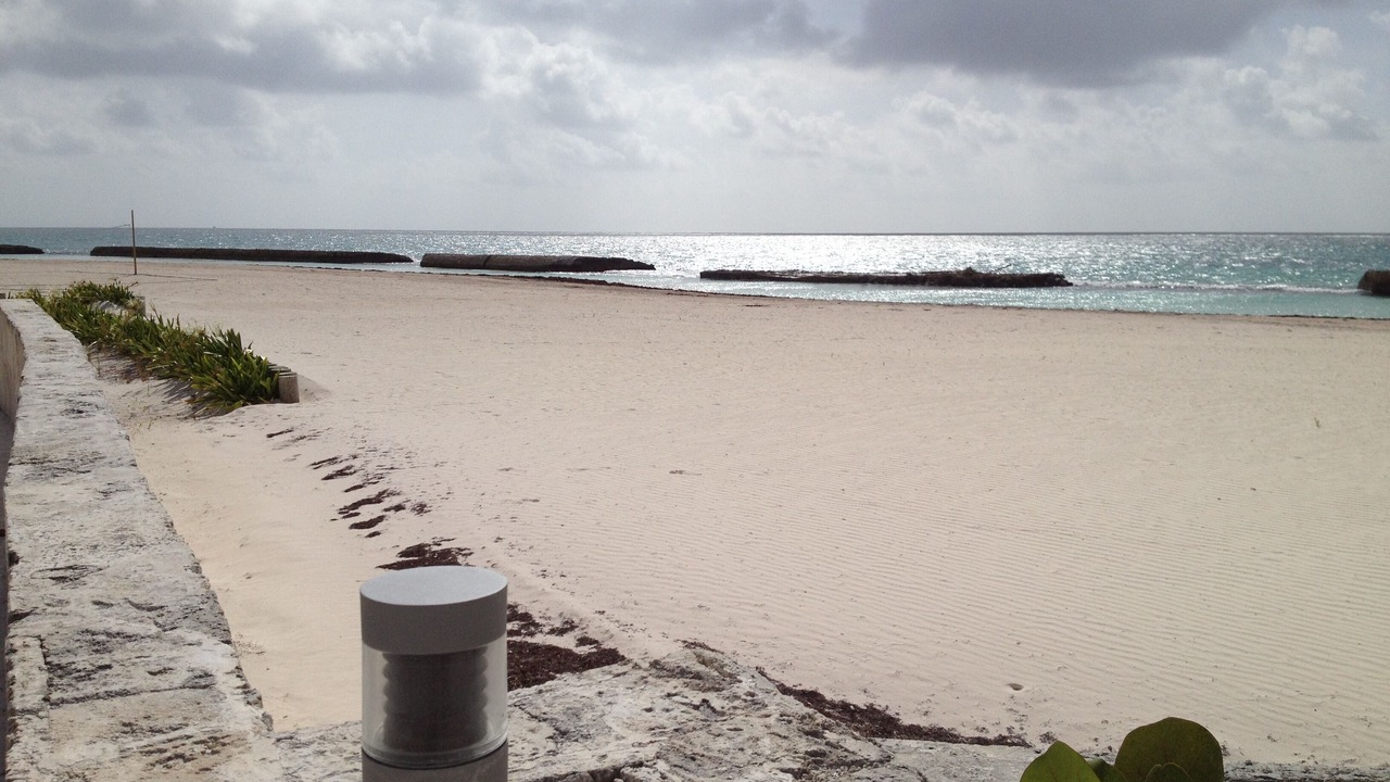 Photo of Others in Punta Cana