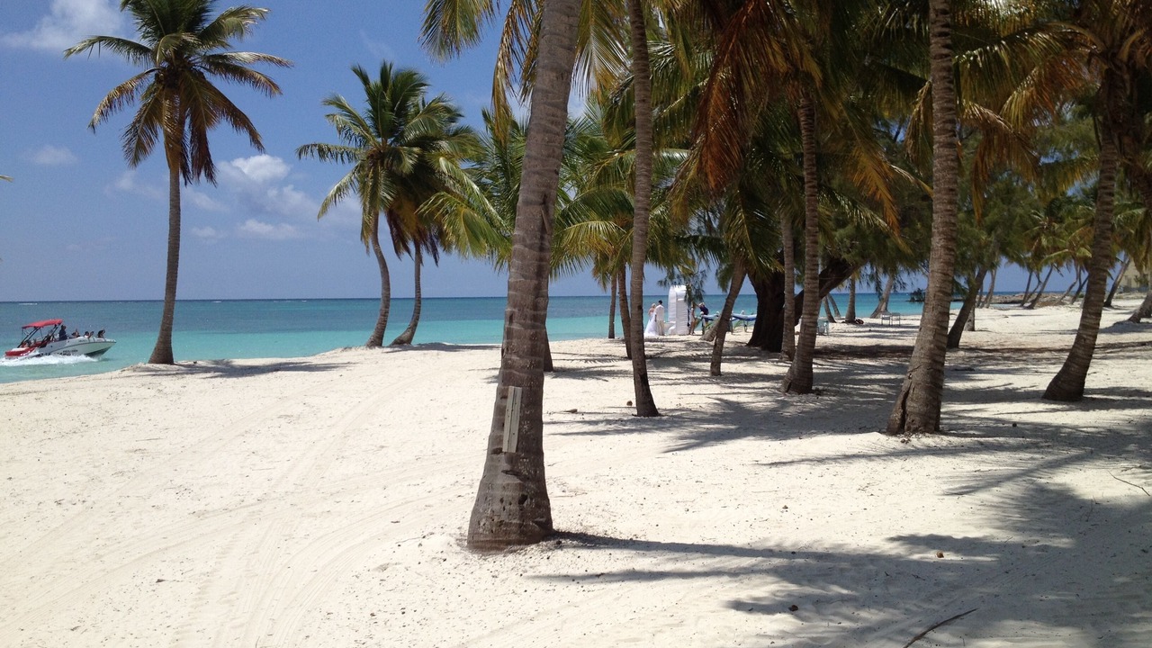 Photo of Others in Punta Cana