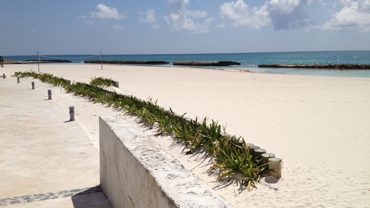 Photo of Others in Punta Cana