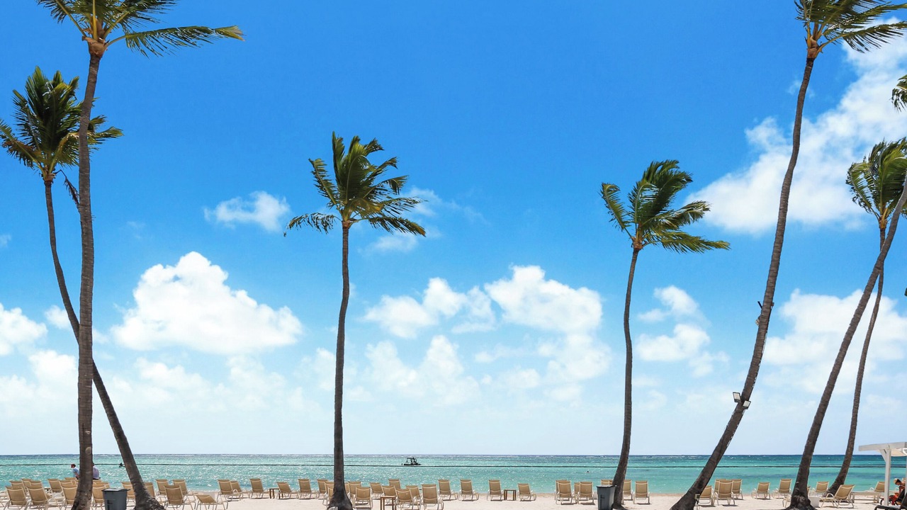 Photo of Others in Punta Cana