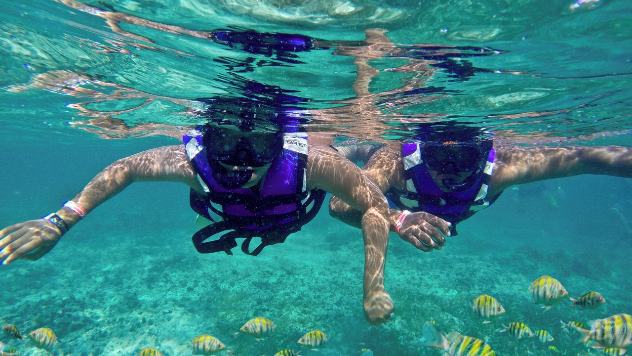 Photo of Others in Punta Cana