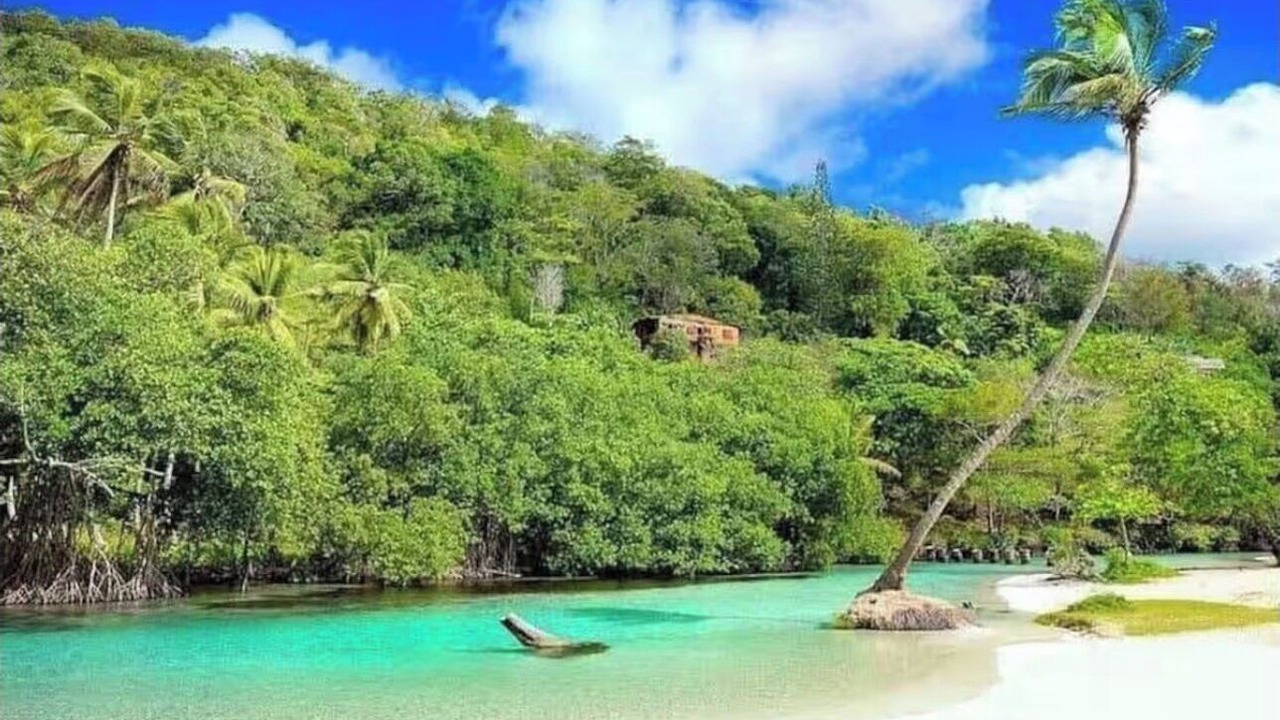 Photo of Others in Las Galeras