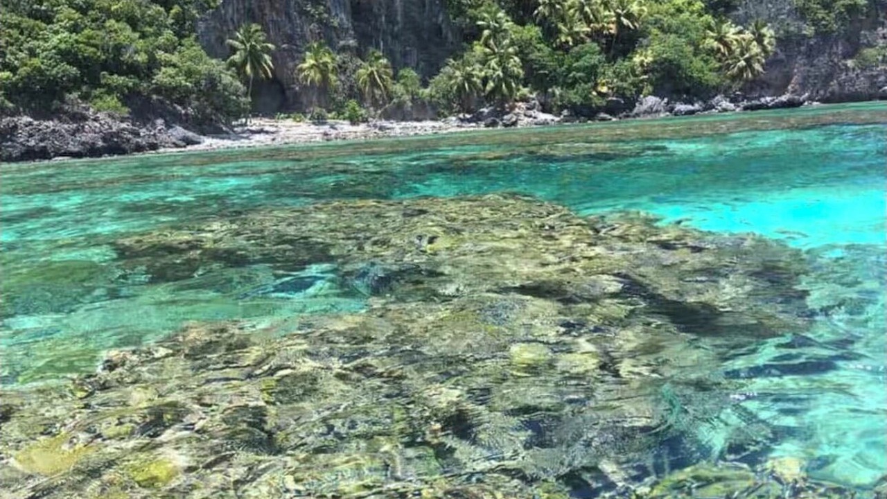 Photo of Others in Las Galeras