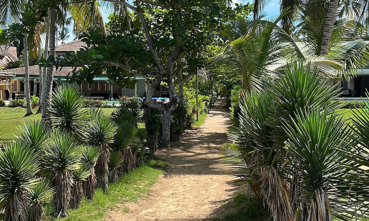 Photo of Others in Las Terrenas