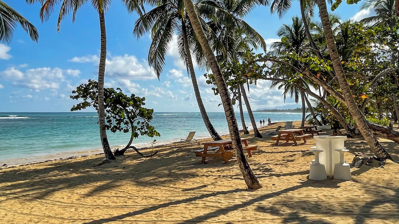 Photo of Others in Las Terrenas