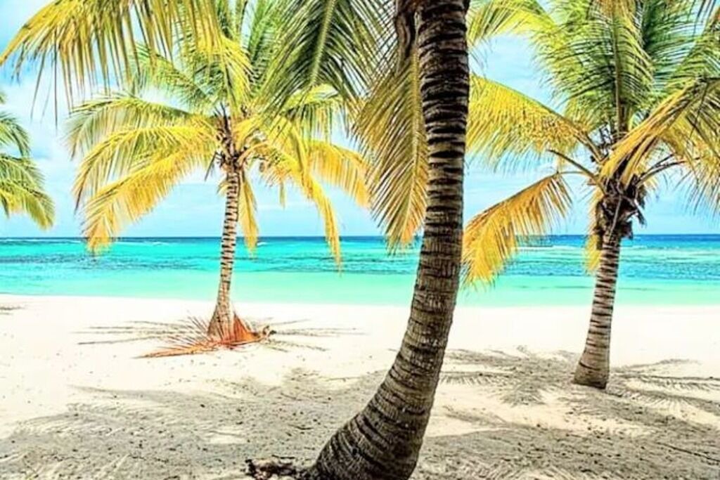Photo of Others in Boca Chica