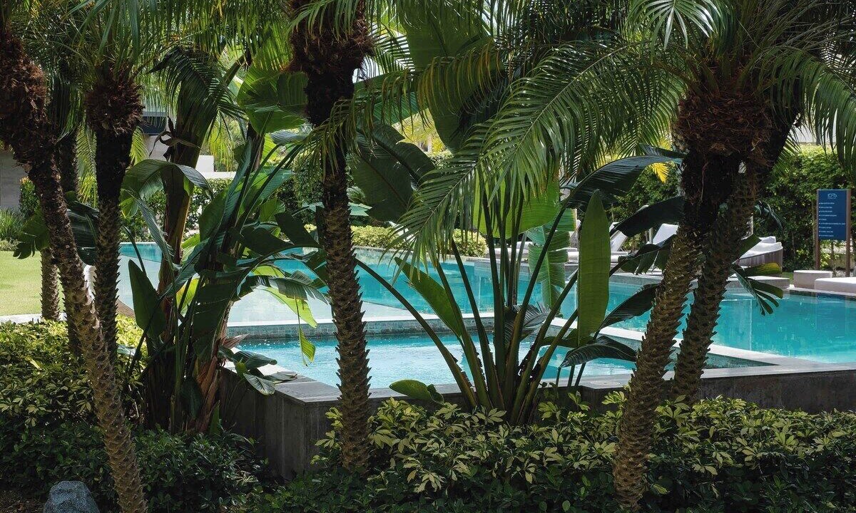 Photo of Others in Punta Cana
