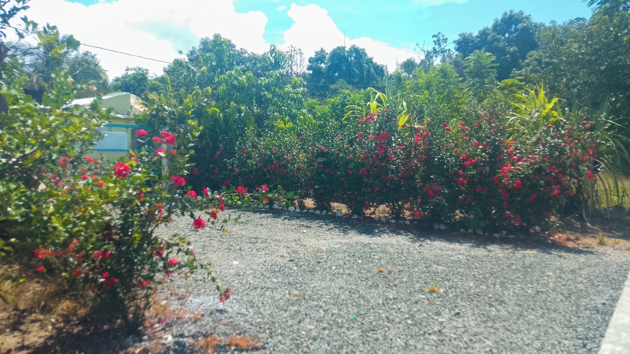 Photo of Outdoor in Bonao