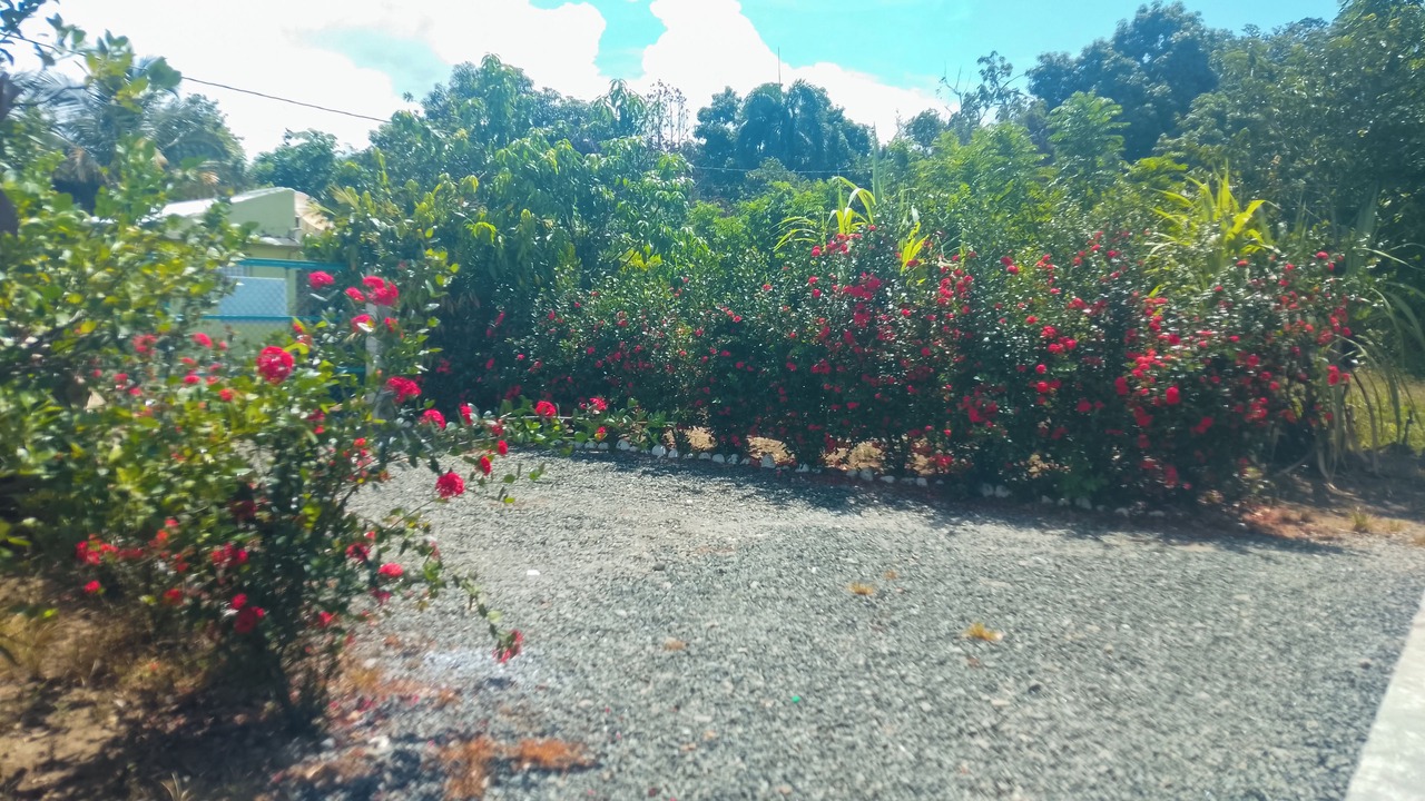 Photo of Outdoor in Bonao