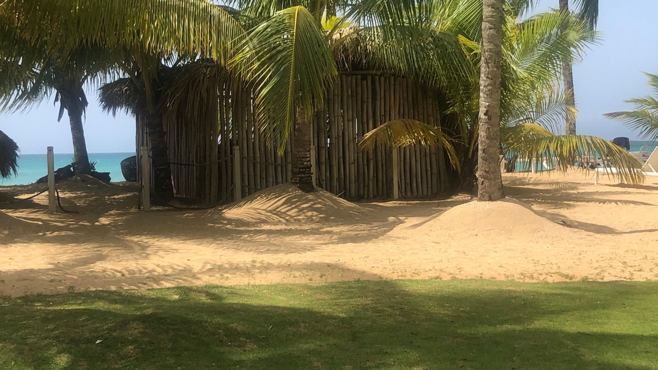 Photo of Others in Las Terrenas