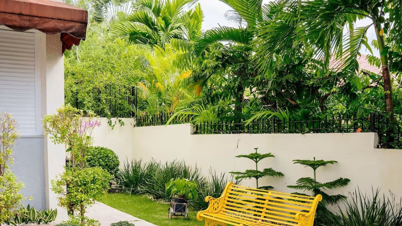 Photo of Outdoor in Puerto Plata