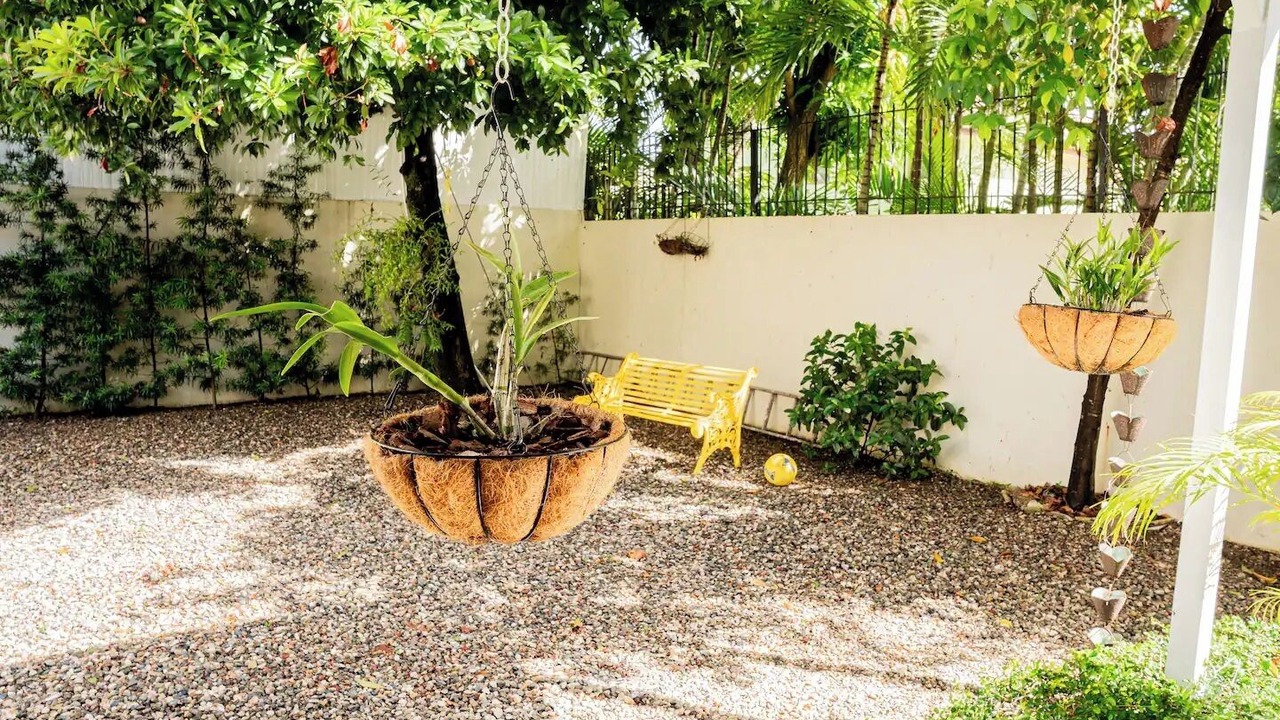 Photo of Outdoor in Puerto Plata
