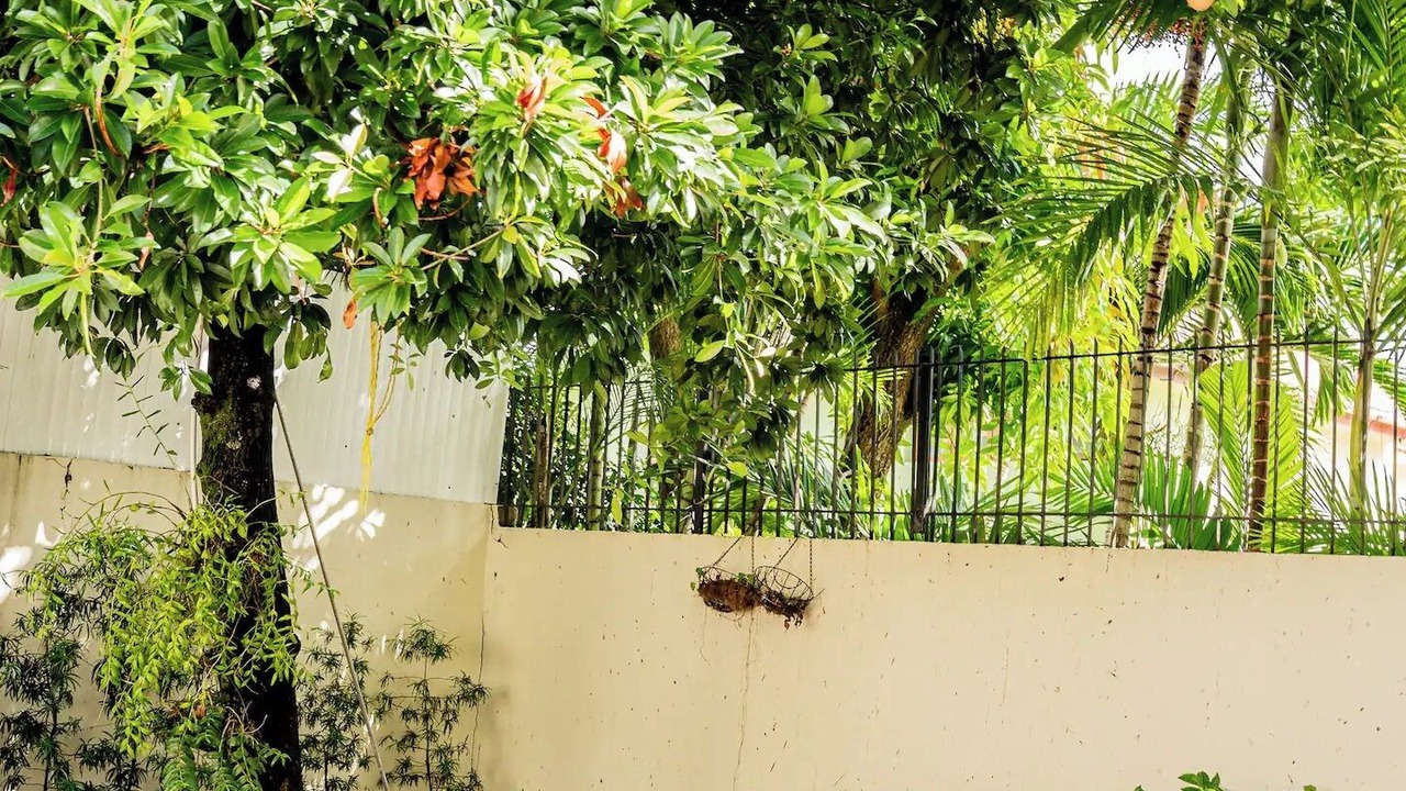 Photo of Outdoor in Puerto Plata