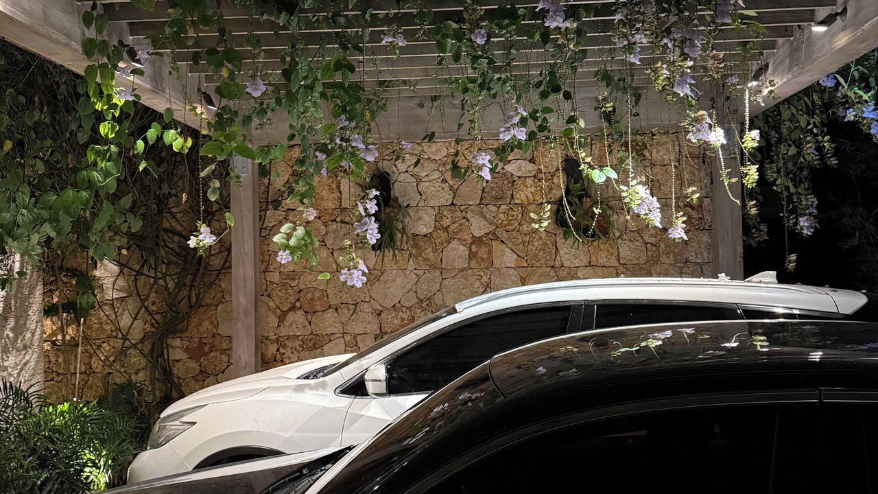Photo of Outdoor in Los Altos