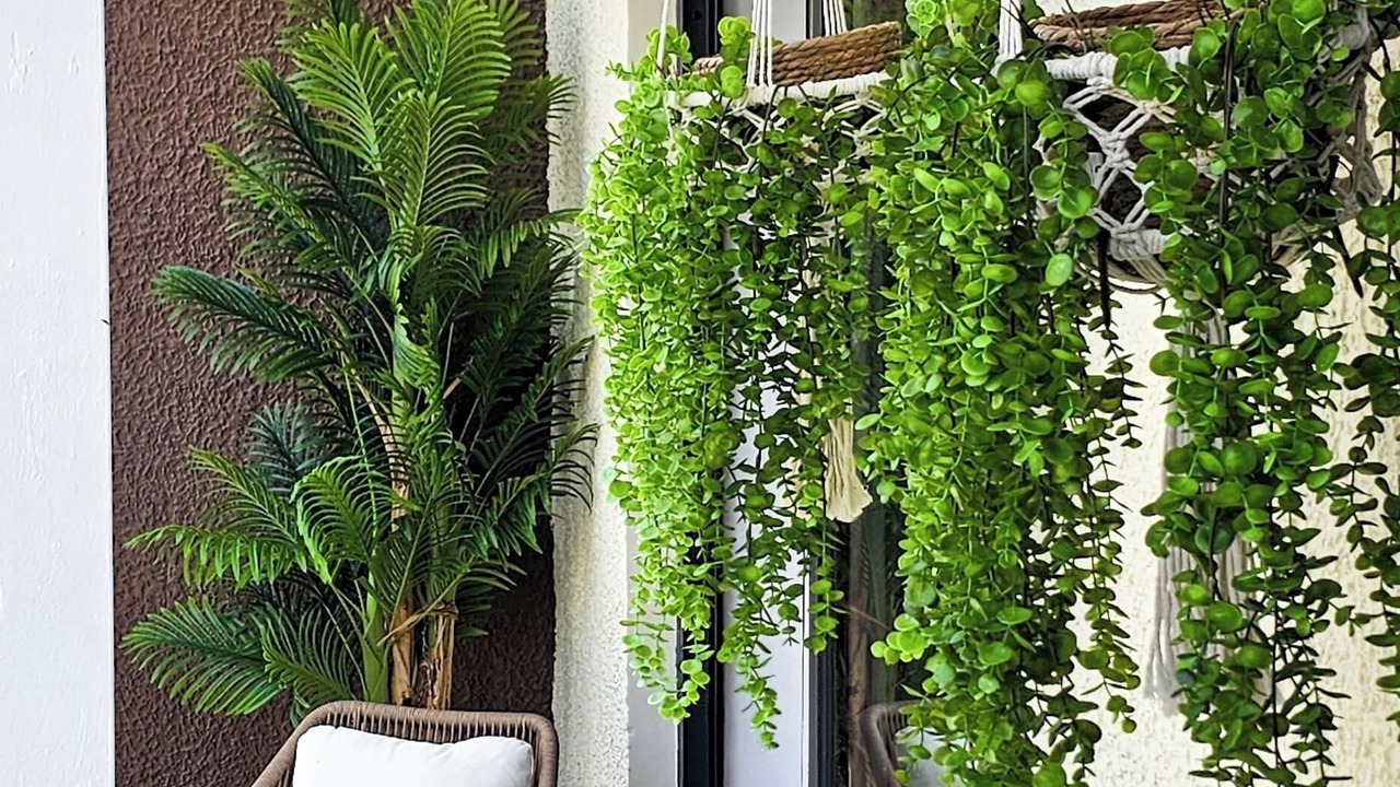 Photo of Outdoor in Puerto Plata