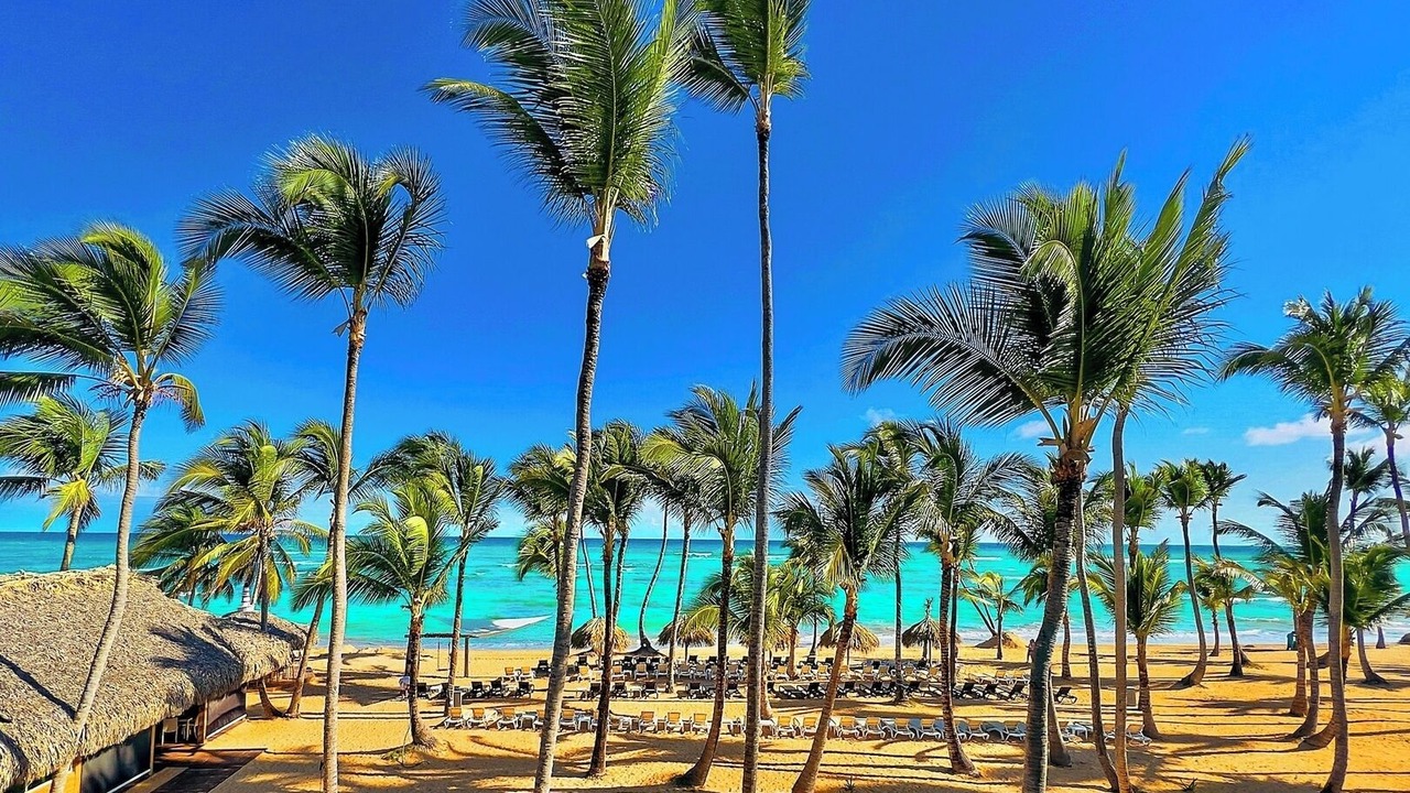 Photo of Others in Punta Cana