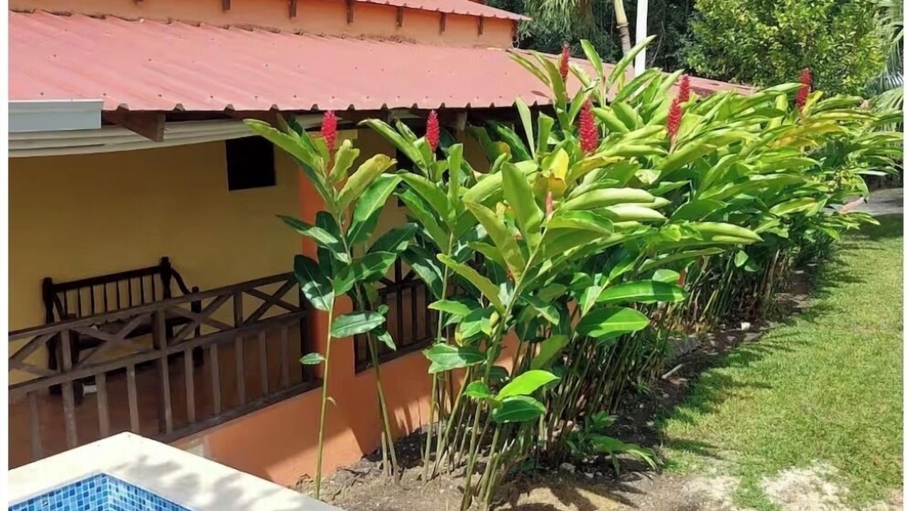 Photo of Outdoor in Salcedo