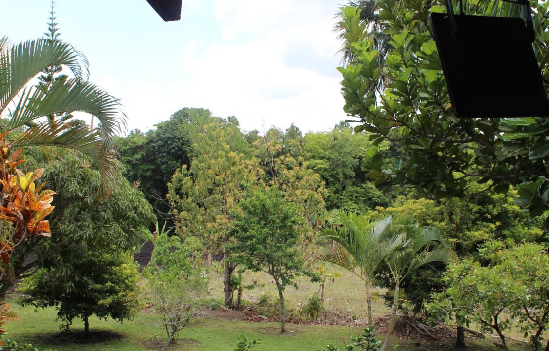 Photo of Outdoor in Salcedo