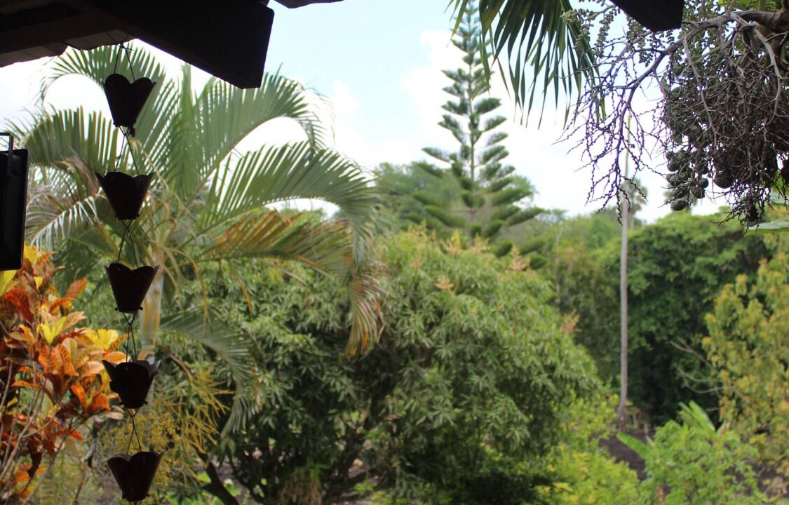 Photo of Outdoor in Salcedo