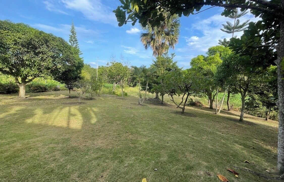 Photo of Outdoor in Salcedo