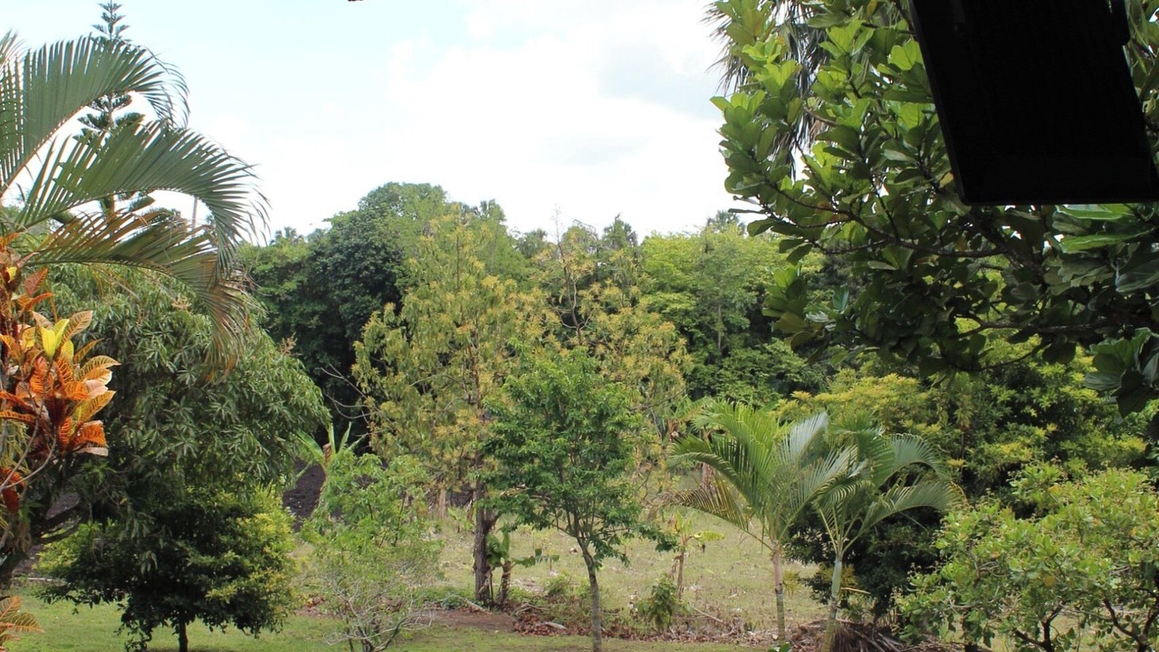 Photo of Outdoor in Salcedo