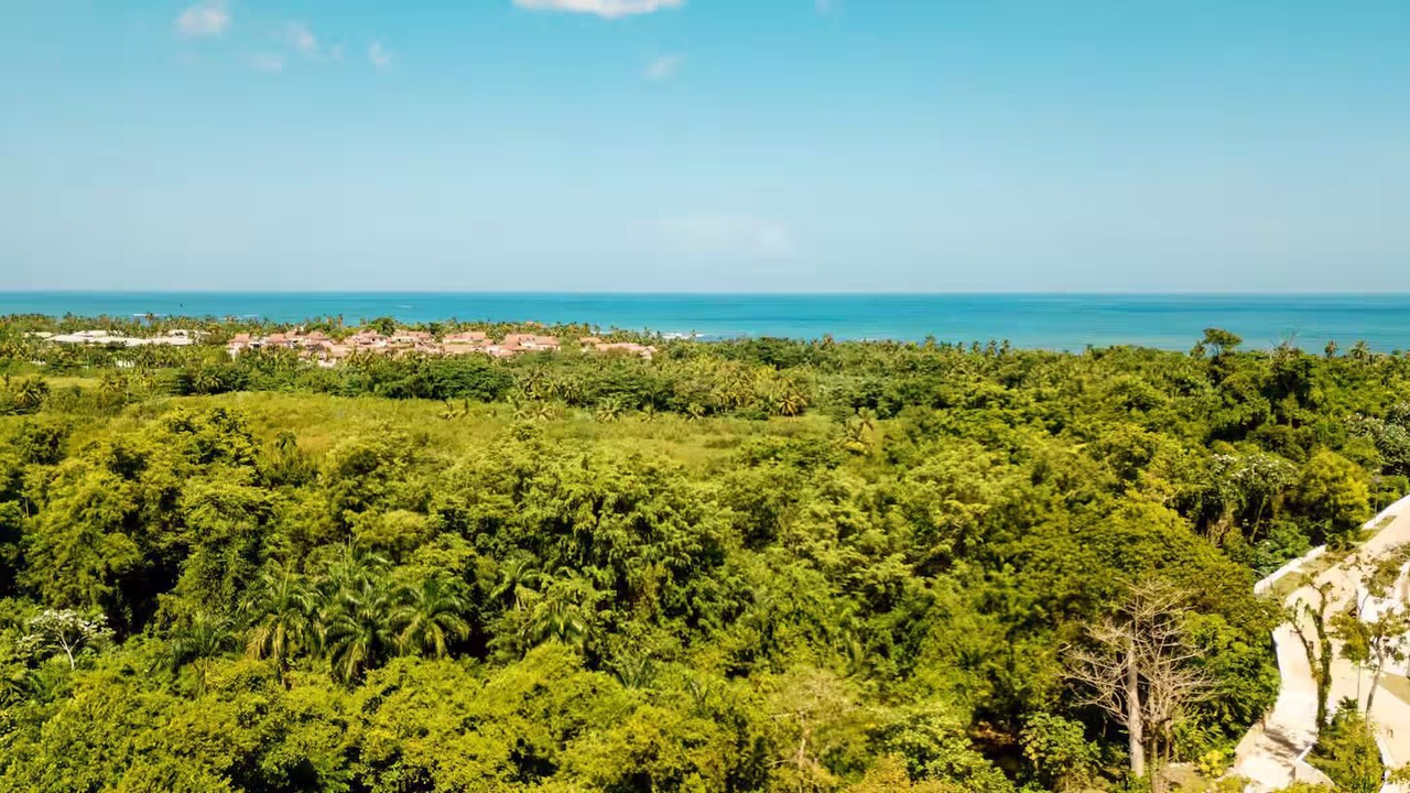 Photo of Others in Las Terrenas
