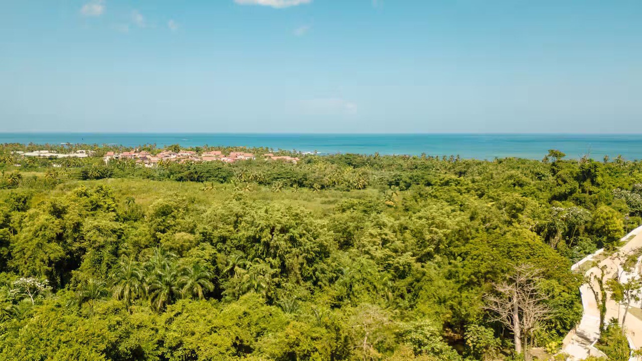 Photo of Others in Las Terrenas