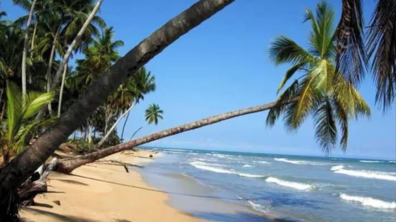 Photo of Others in Las Terrenas