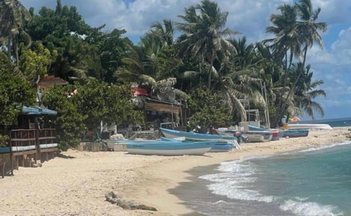 Photo of Others in La Romana
