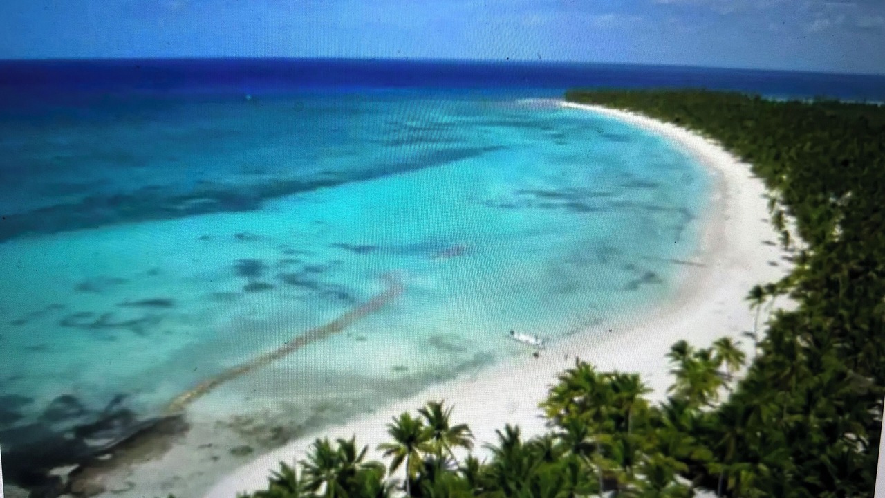 Photo of Others in La Romana