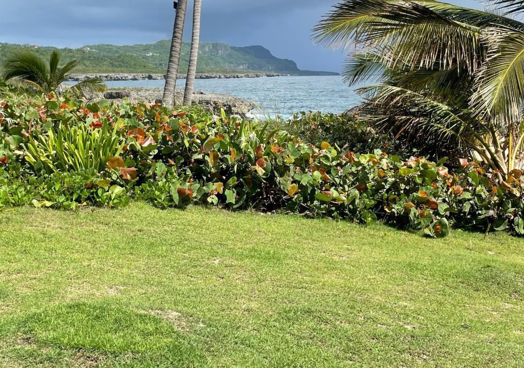 Photo of Others in Samana