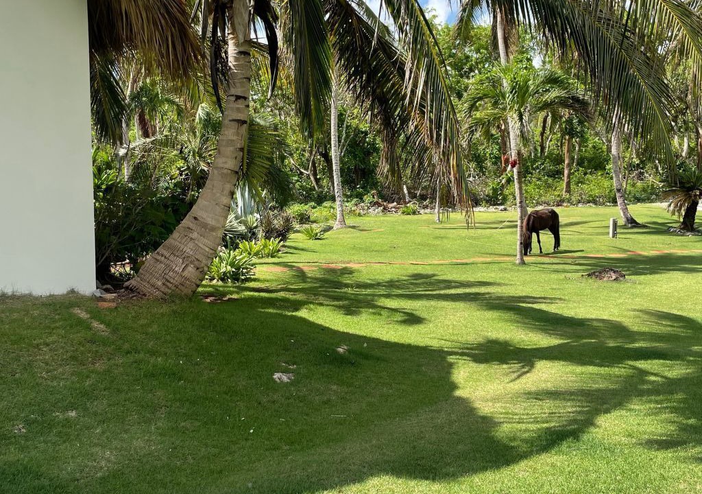 Photo of Others in Samana