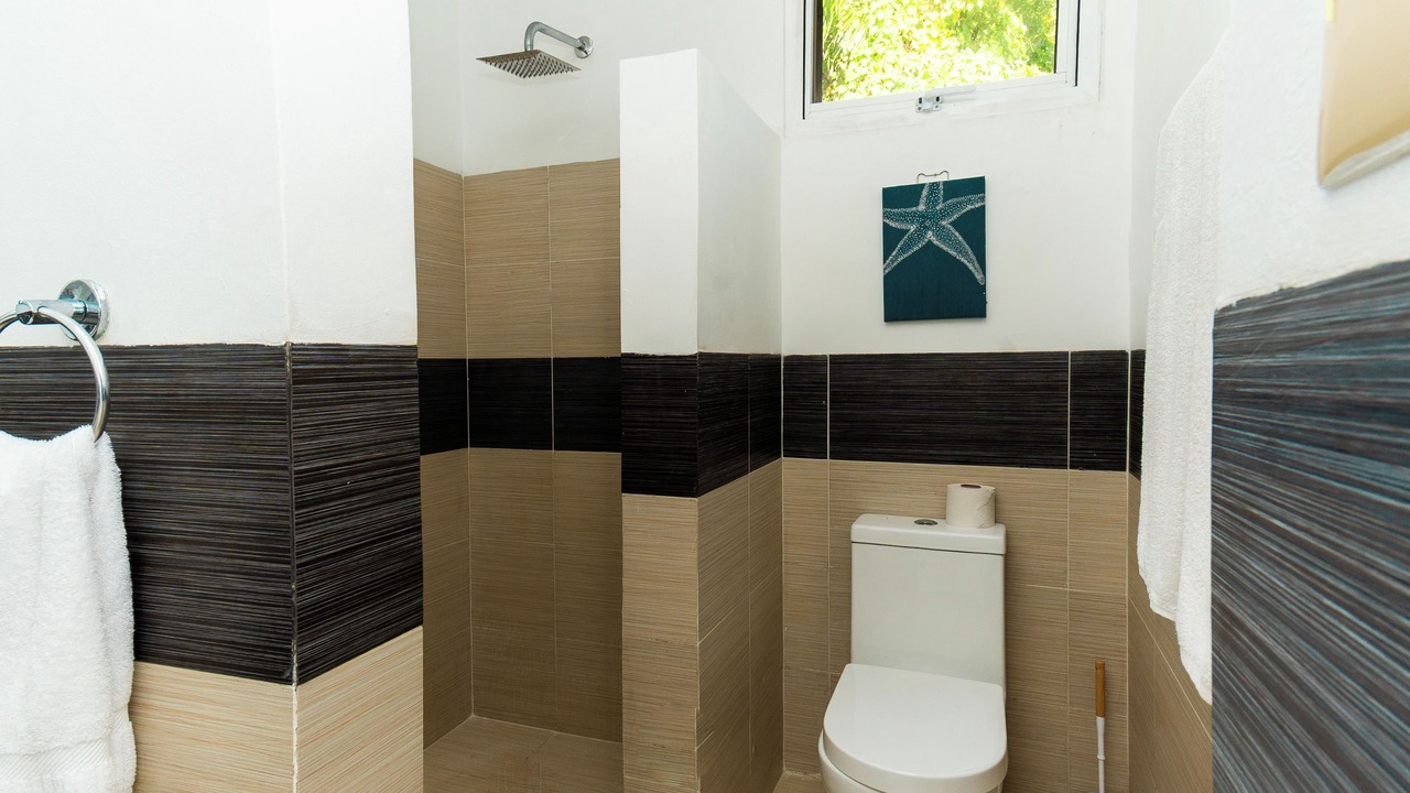 Photo of Bathroom in Samana