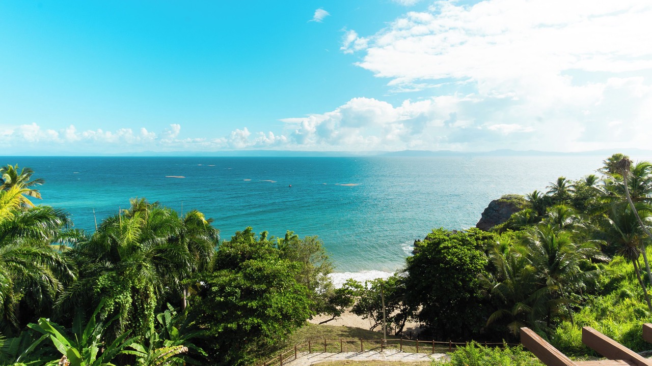 Photo of Others in Samana