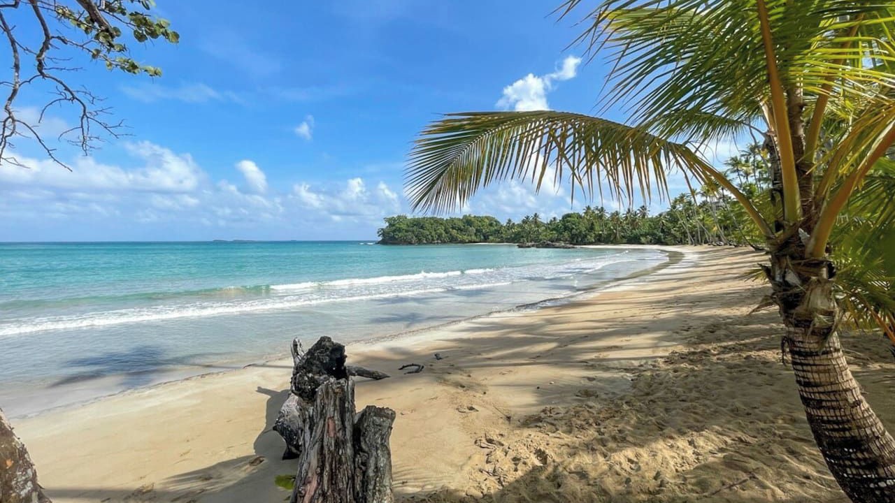 Photo of Others in Las Terrenas