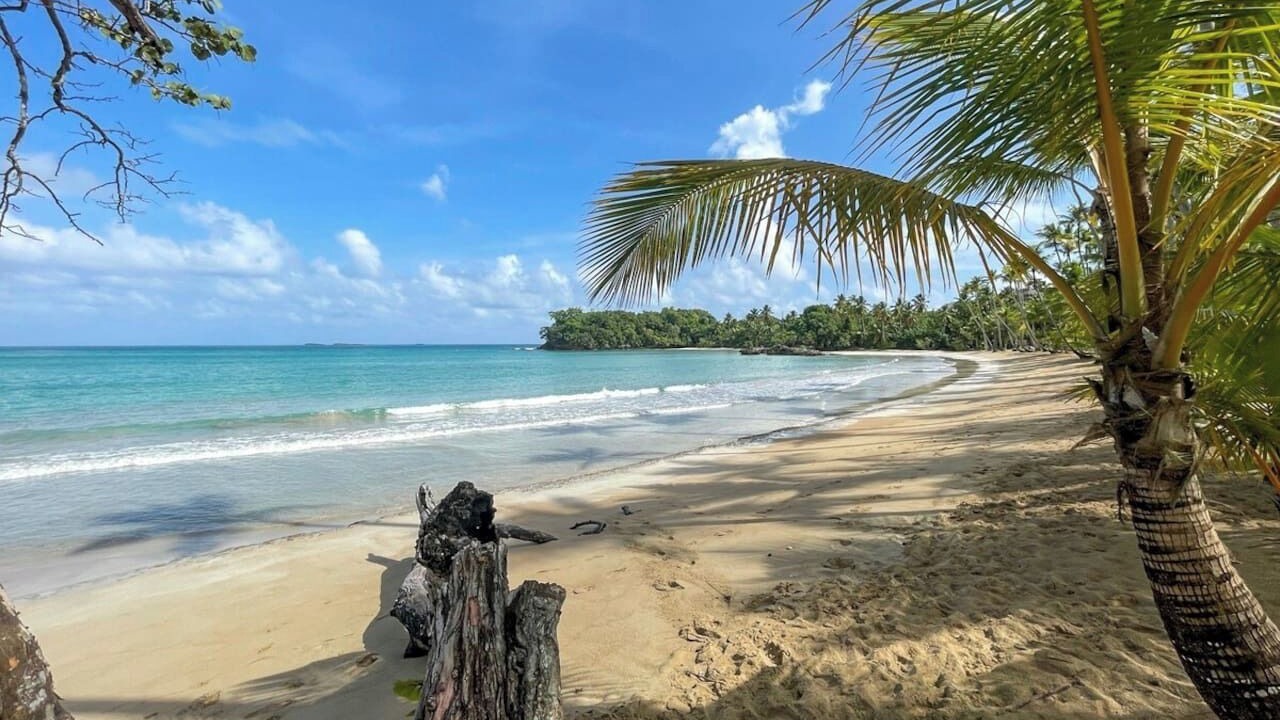 Photo of Others in Las Terrenas