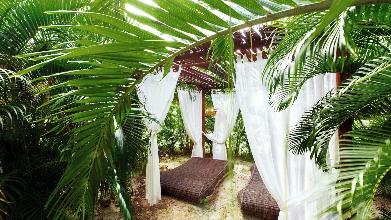 Photo of Others in Bavaro