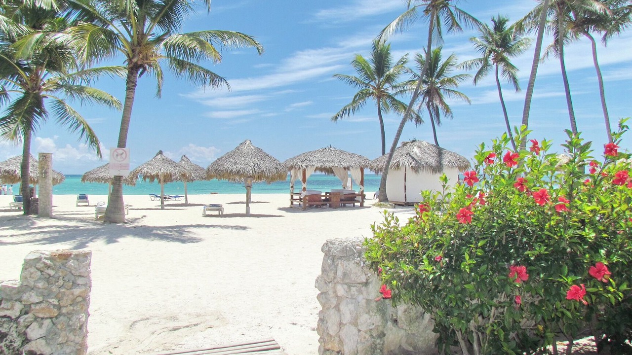 Photo of Others in Bavaro