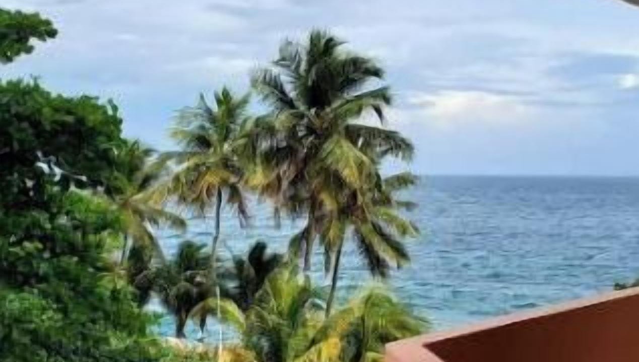 Photo of Outdoor in Mirador Sur