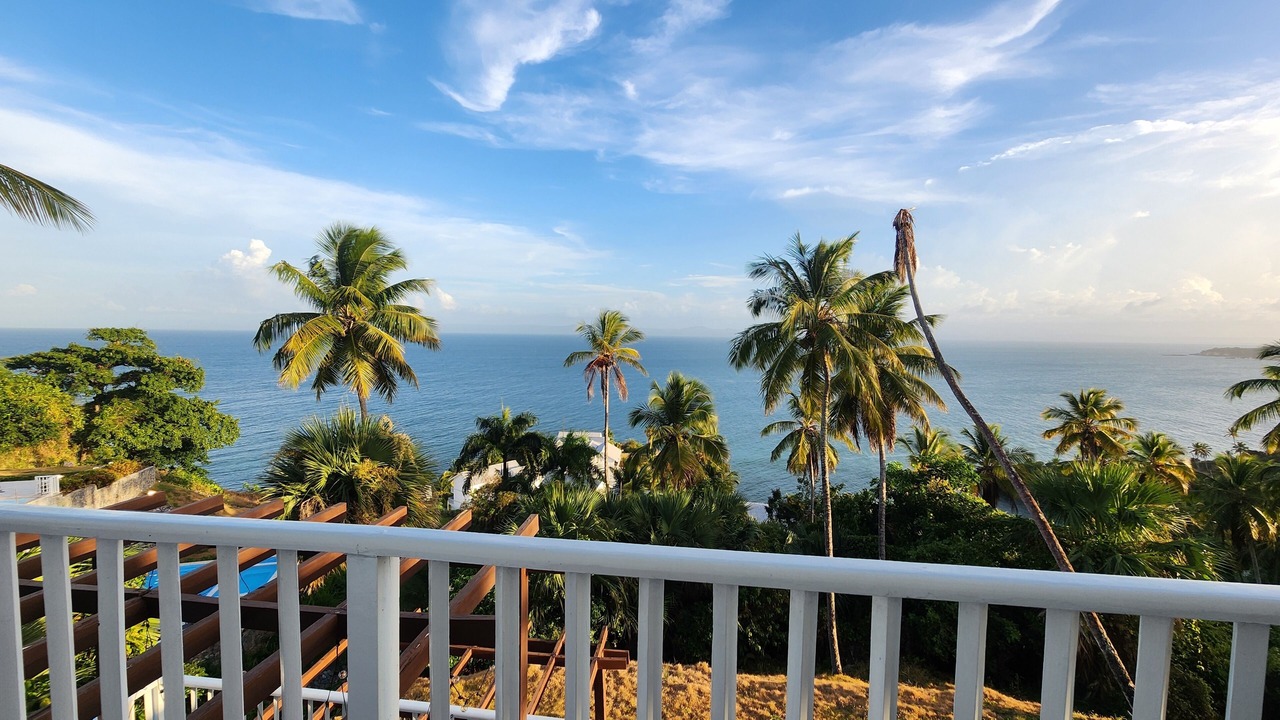 Photo of Outdoor in Samana