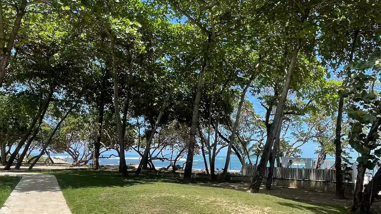Photo of Outdoor in Costa Dorada