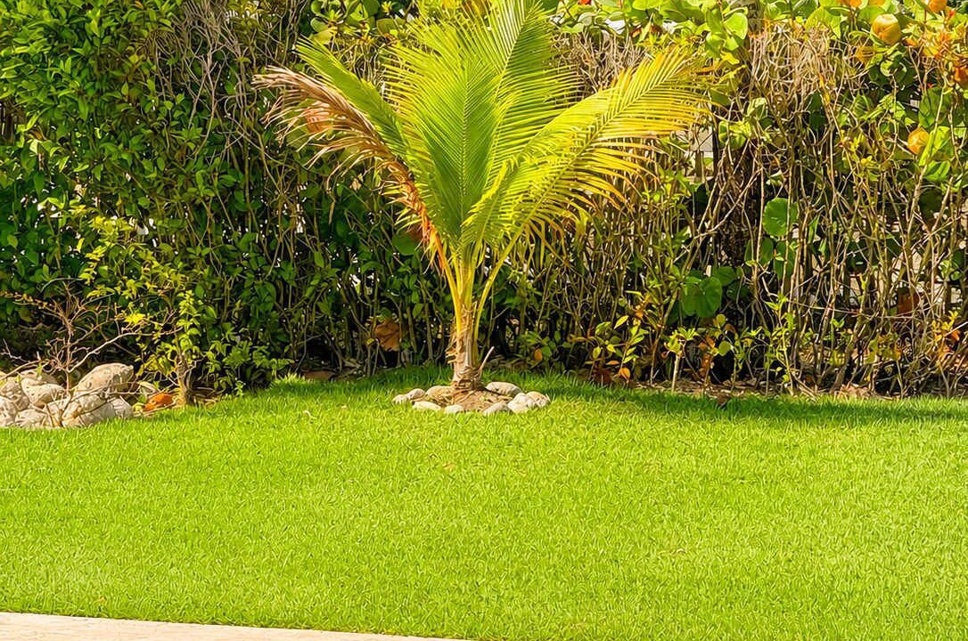 Photo of Outdoor in Playa Chiquita