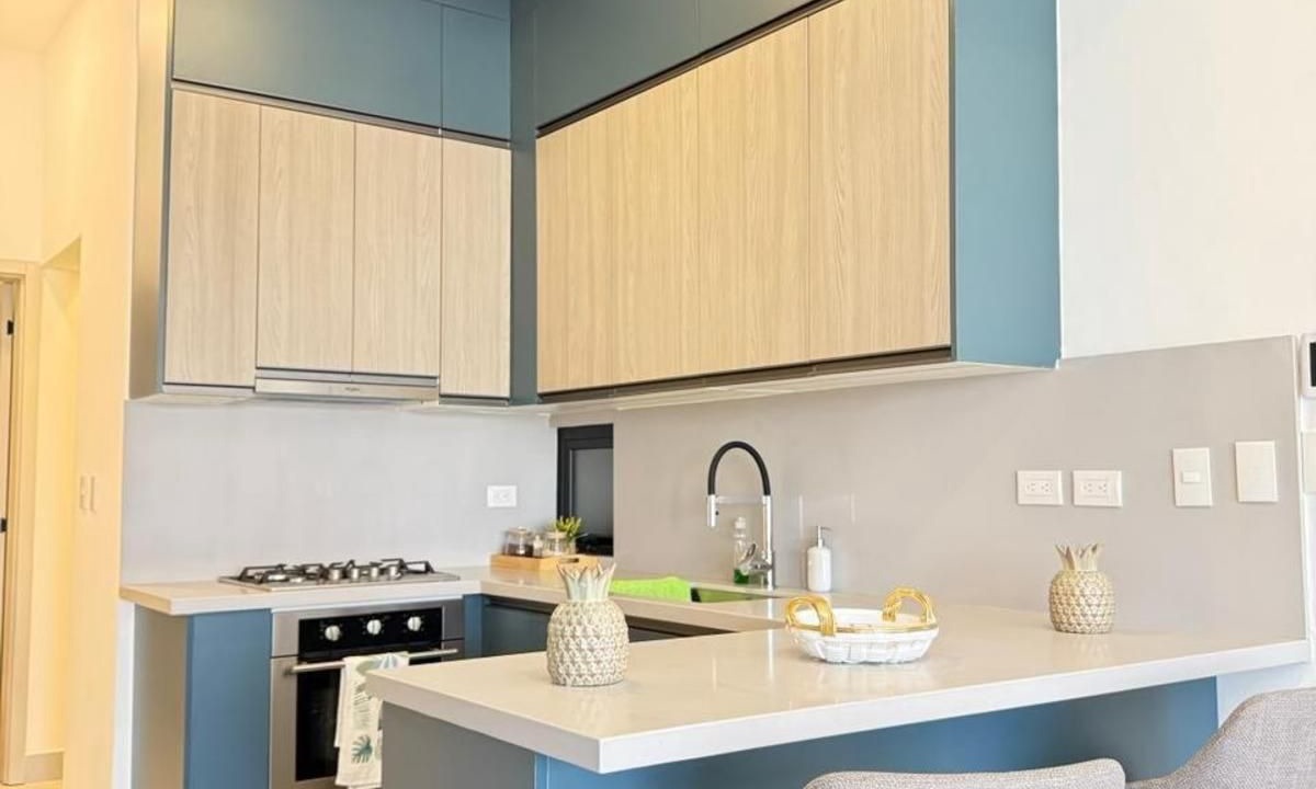 Photo of Kitchen in Santiago Province