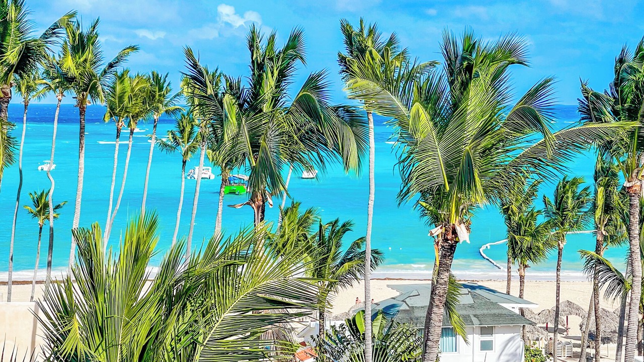 Photo of Others in Bavaro