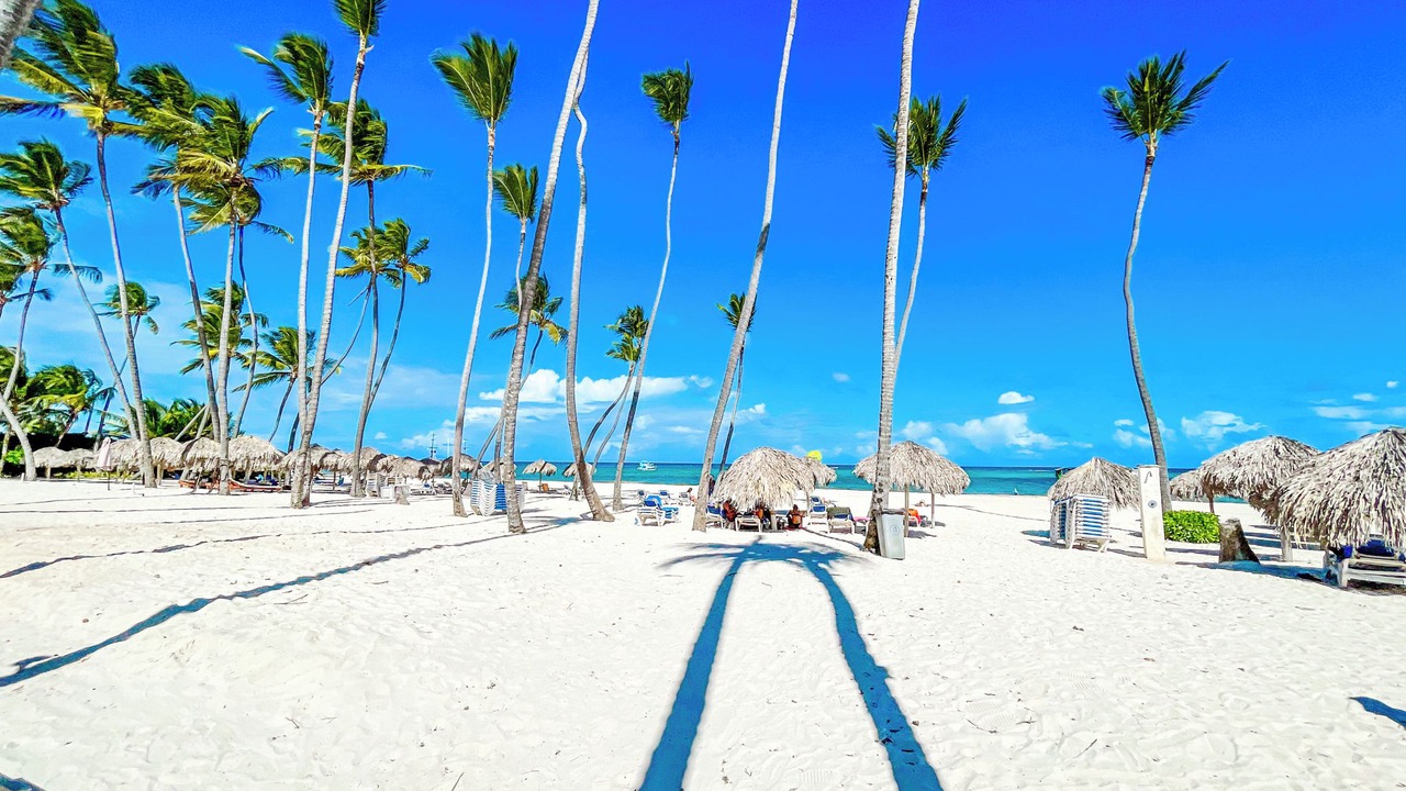 Photo of Others in Bavaro