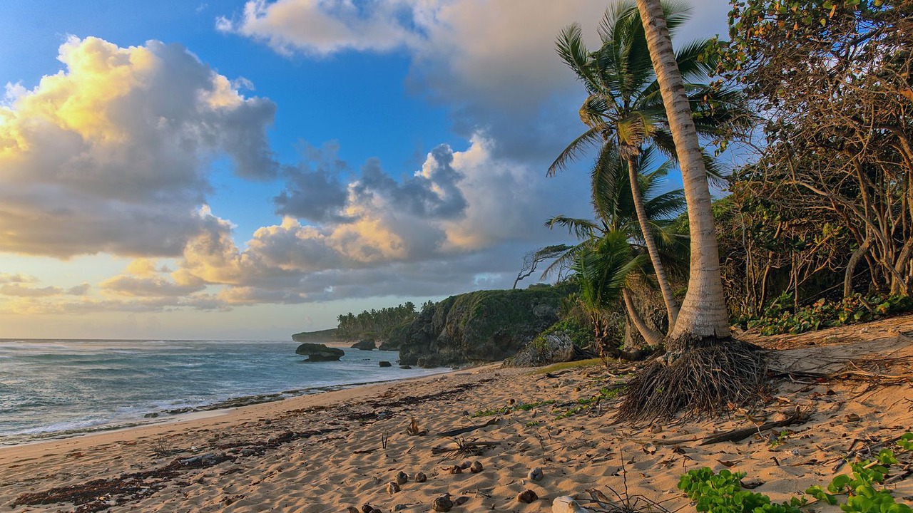 Photo of Others in Cabrera
