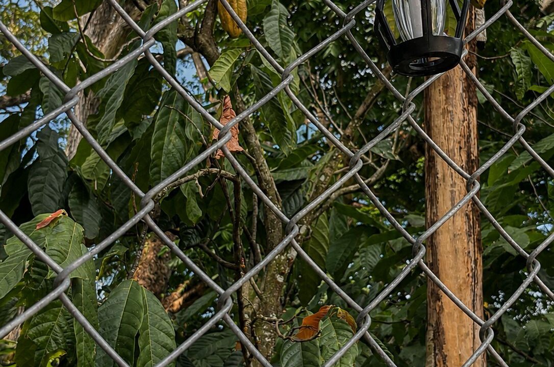 Photo of Outdoor in San Francisco de Macoris