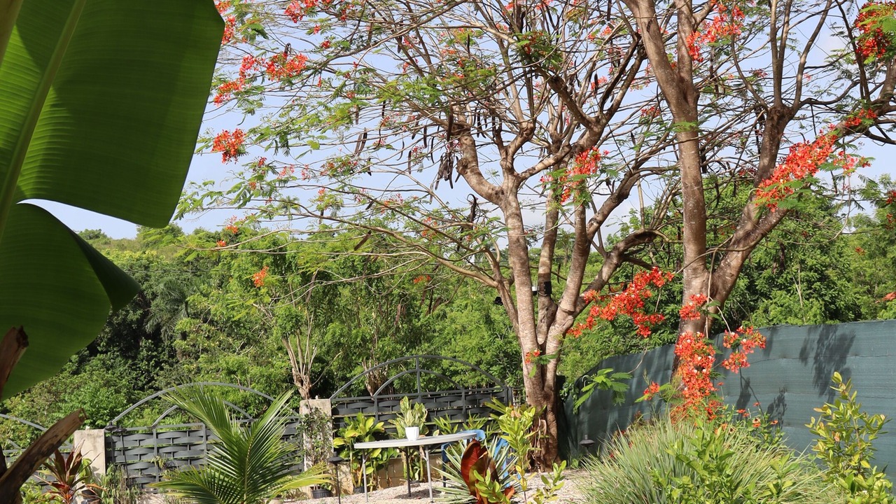 Photo of Outdoor in Barrio El Hospital