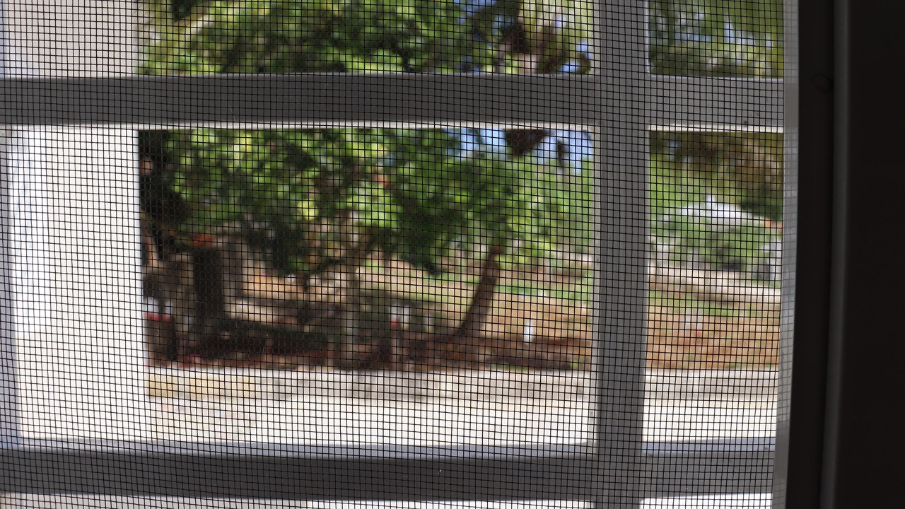 Photo of Others in Barrio El Hospital