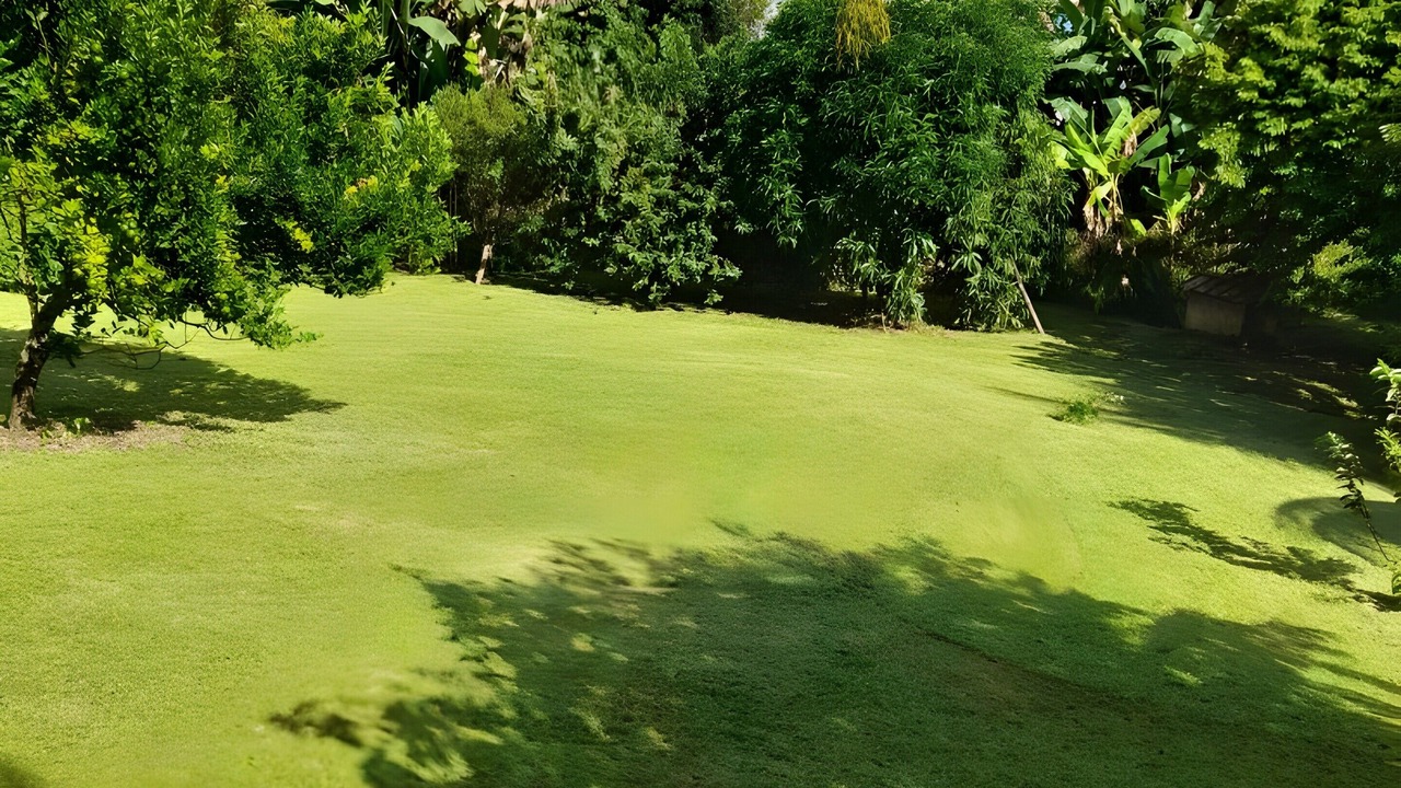 Photo of Others in Caribbean Islands